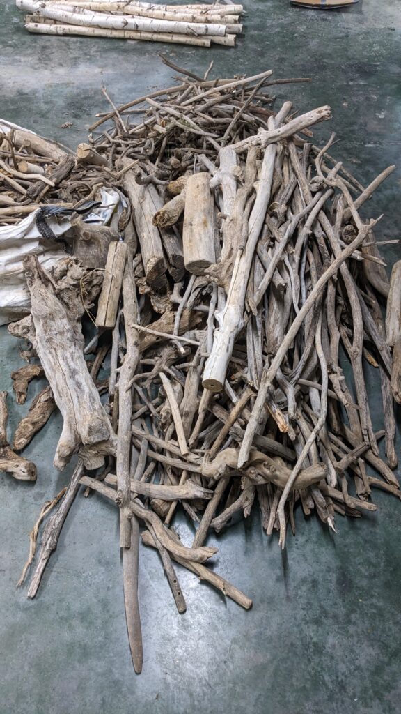 Branches de bois flotté dont les 2 extrémités sont coupées