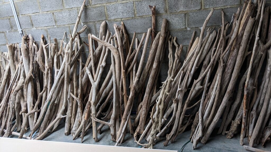 Ces branches simples et relativement droites sont idéales pour les amateurs de décoration naturelle,